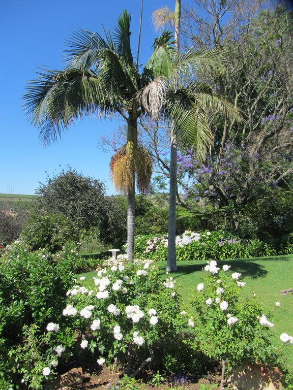 Aan-Den-Weg Villa Stellenbosch Dış mekan fotoğraf