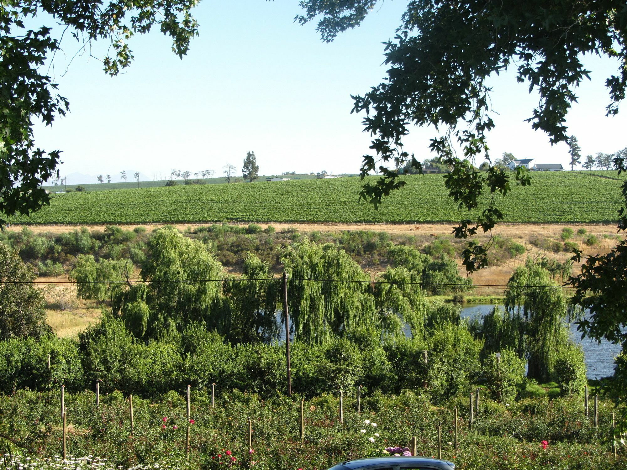 Aan-Den-Weg Villa Stellenbosch Dış mekan fotoğraf