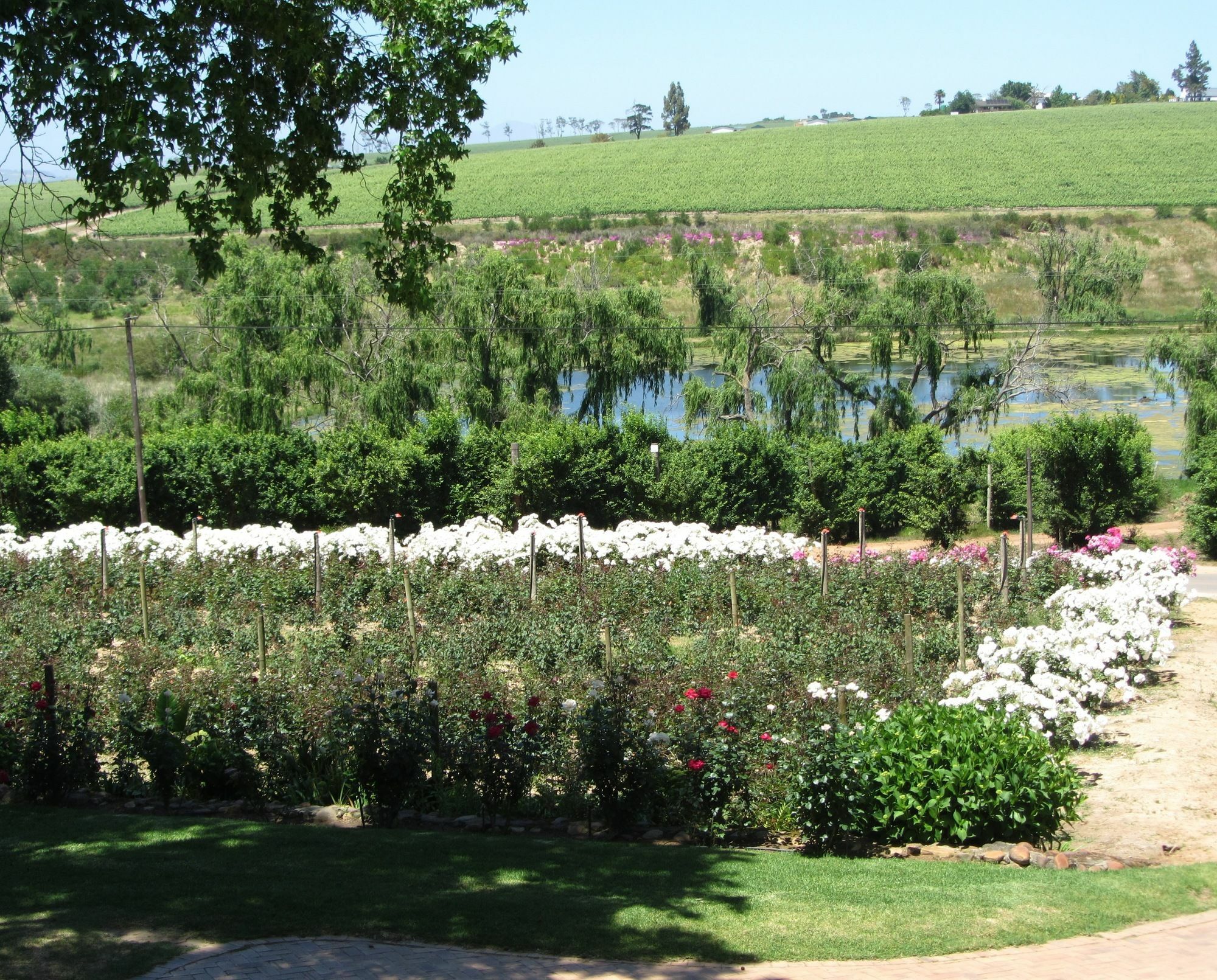 Aan-Den-Weg Villa Stellenbosch Dış mekan fotoğraf